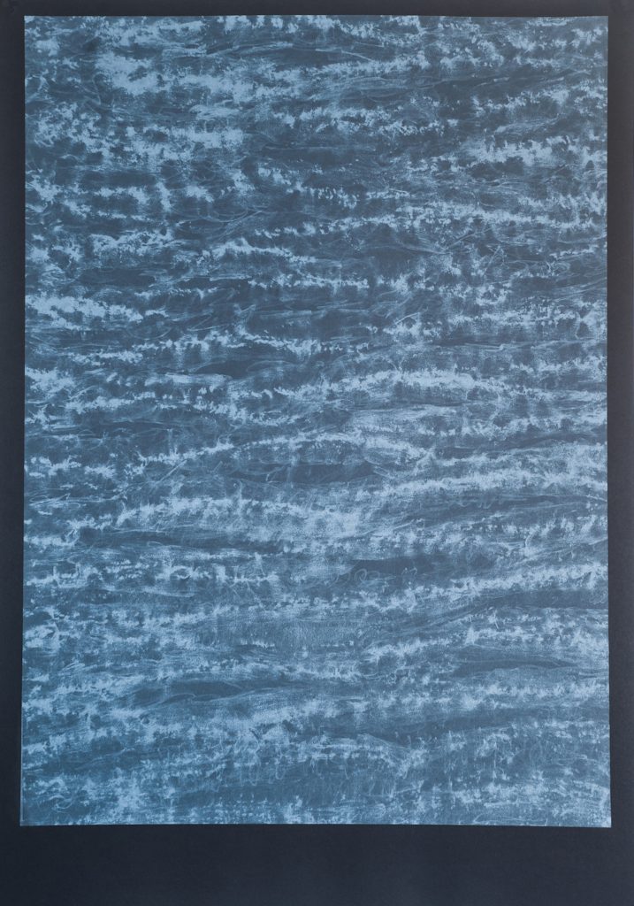 Giorgia Severi, Canary Island Palm, 2016, off-set print, limited edition, 100x70 cm, photo credits @ Michele Alberto Sereni