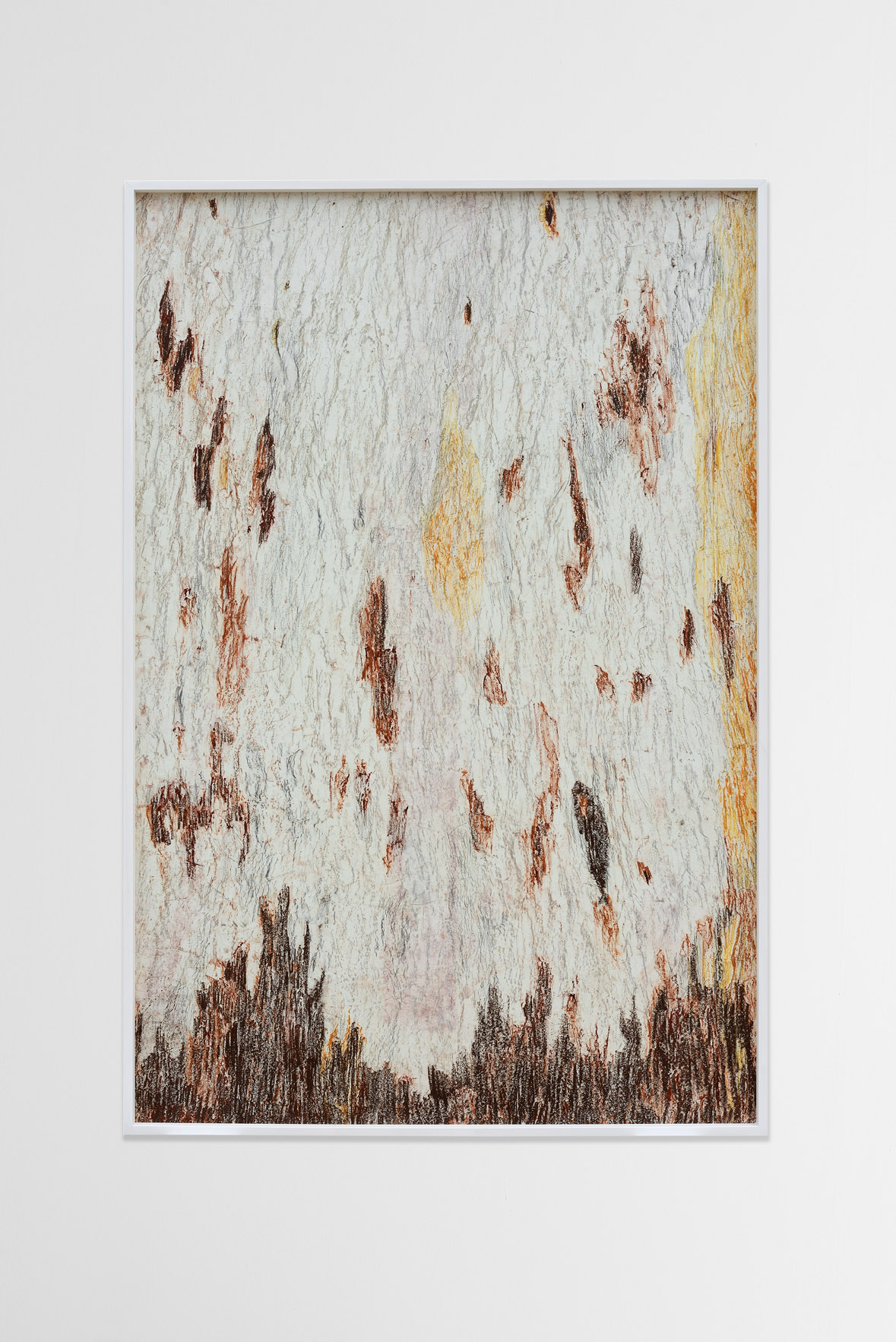 Eucalyptus Camaldolensys - Australian Red Gum Tree #1, 2016, graphites and wax pastels on paper, 150x100 cm, photo credits @ Michele Alberto Sereni