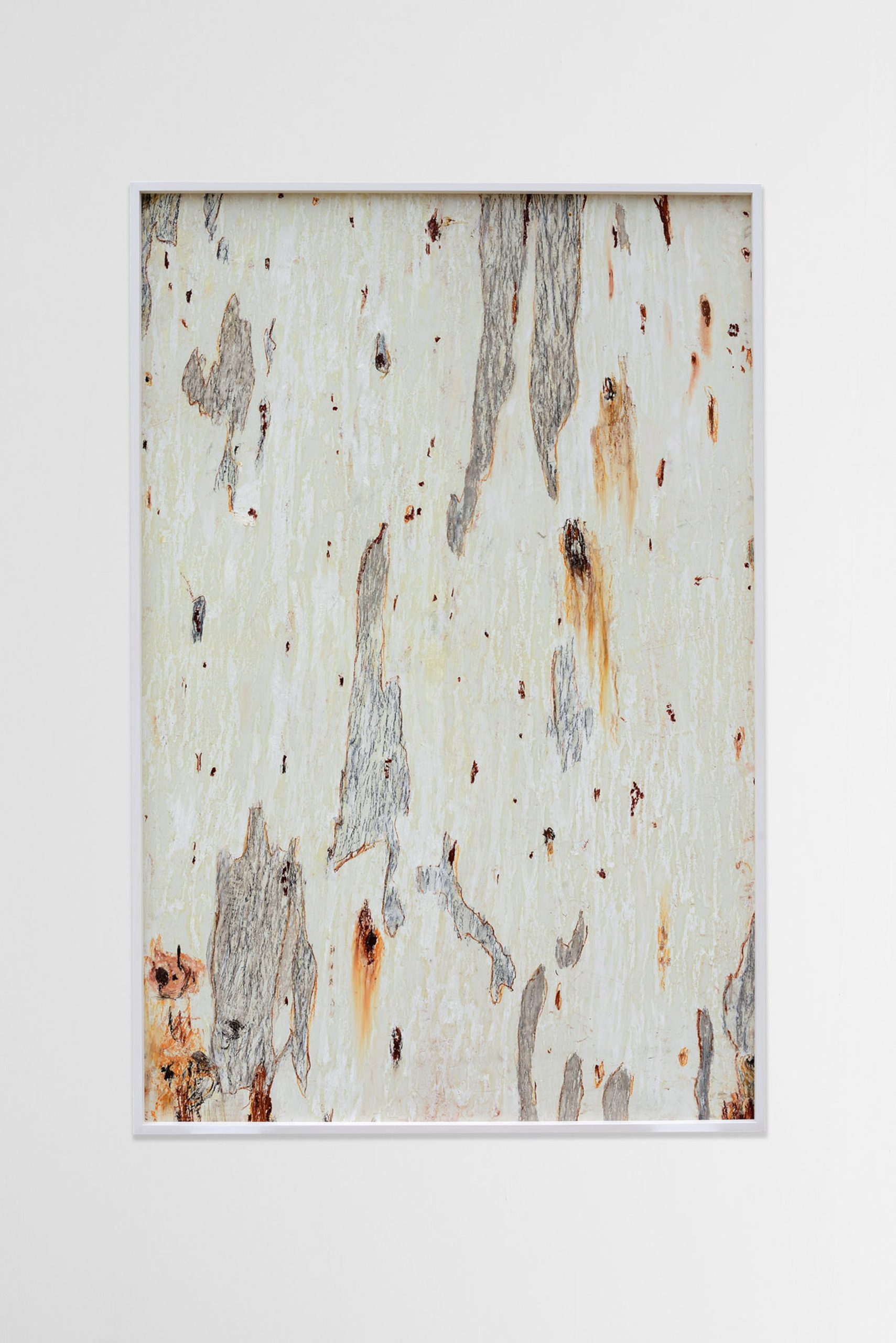 Giorgia Severi, Eucalyptus Camaldolensys - Australian Red Gum Tree#2, 2016, graphites and wax pastels on paper, 150x100 cm, photo credits @ Michele Alberto Sereni